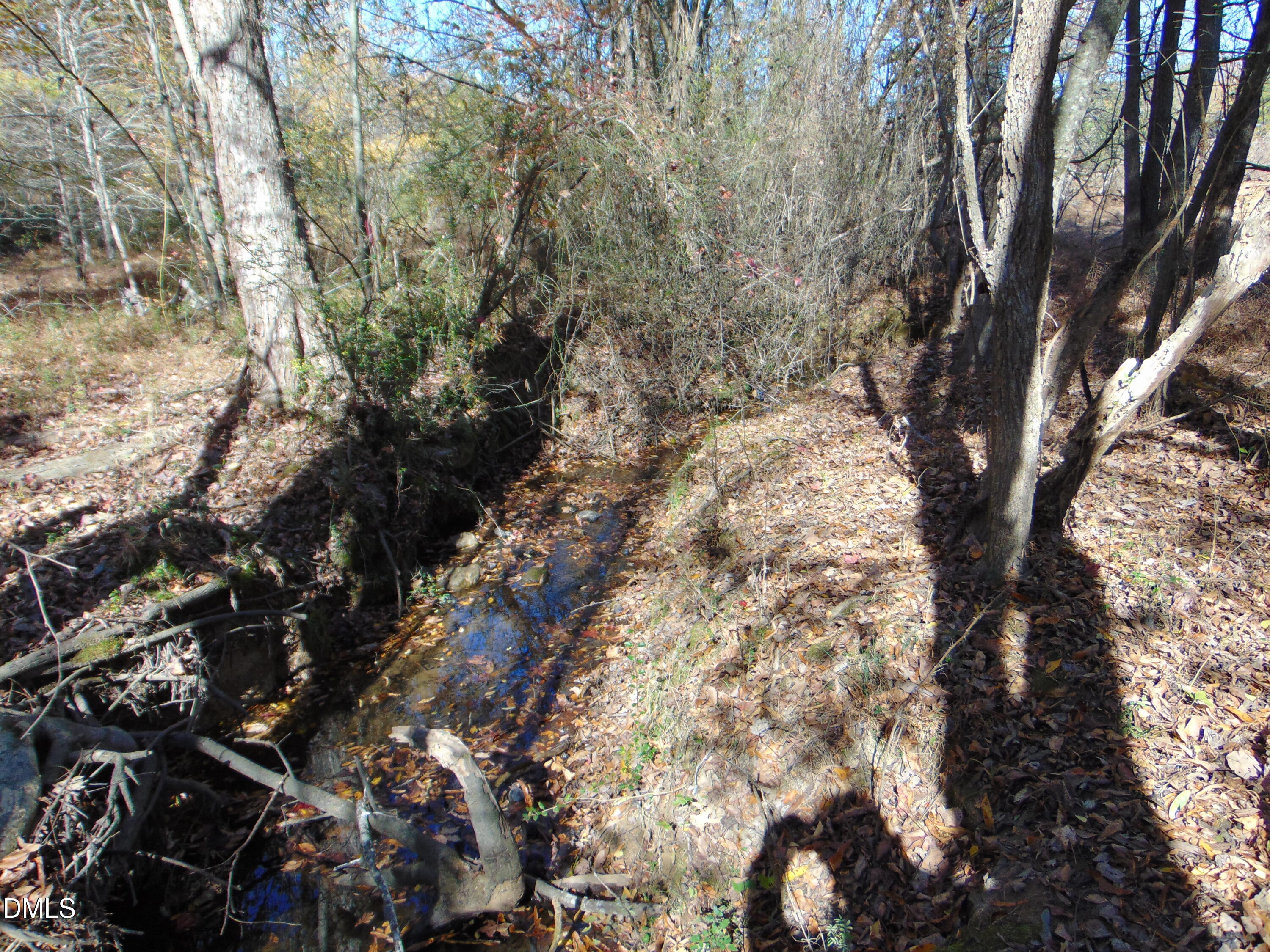 0 Antioch Church Road Roxboro, NC 27574 - Photo 60 of 61 a yard with tall trees