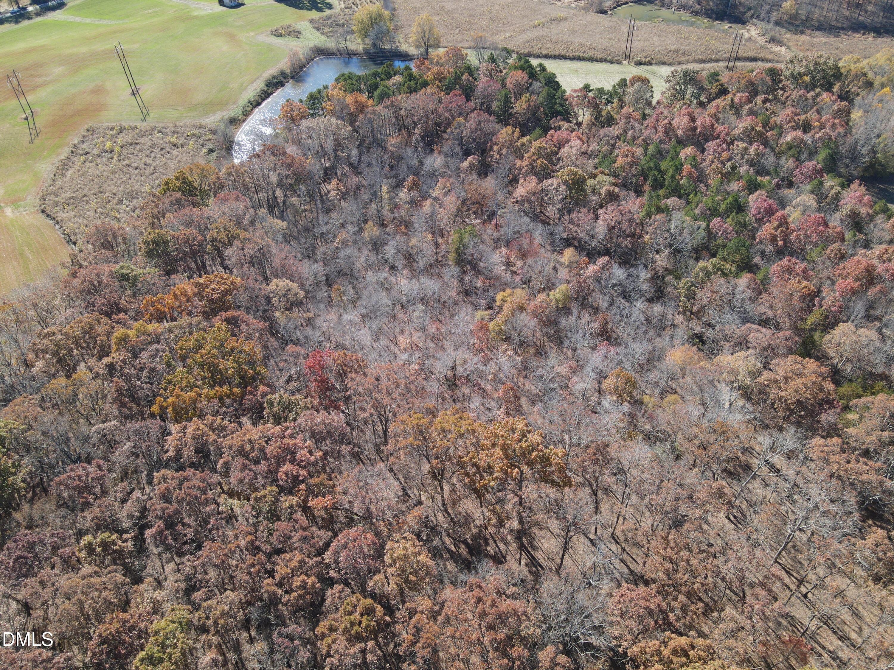 0 Antioch Church Road Roxboro, NC 27574 - Photo 6 of 61 a view of a dry yard
