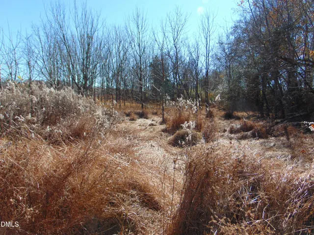 $400,000 | 0 Antioch Church Road, Roxboro, NC 27574