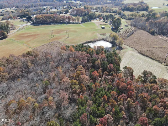 a view of a yard with plants
