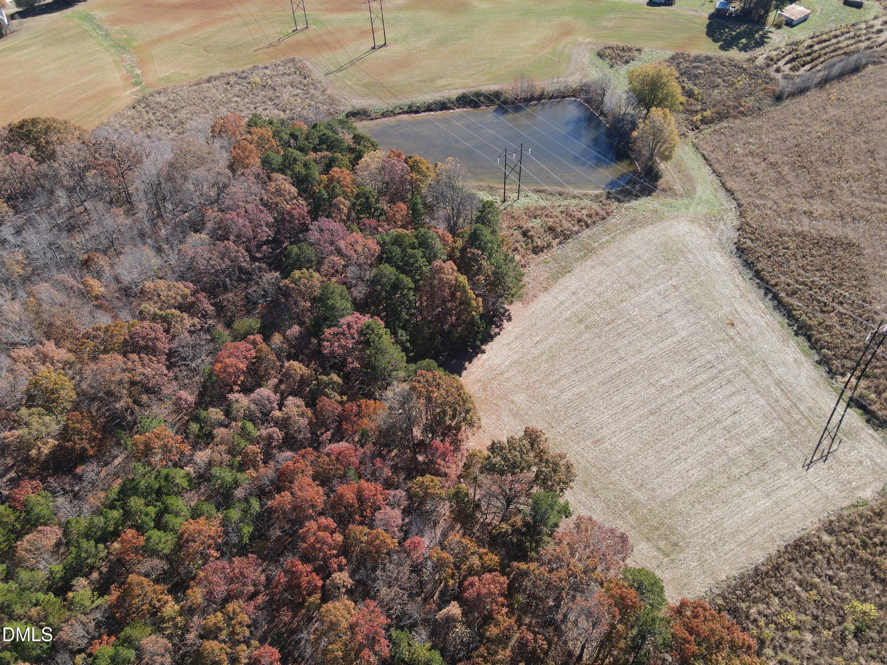 0 Antioch Church Road Roxboro, NC 27574 - Photo 8 of 61 a view of a yard with plants