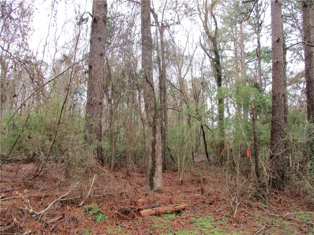 0 Robertson Loop Pollock, LA 71467 - Photo 1 of 7 Gallery Image 1