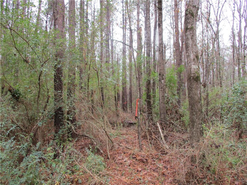 0 Robertson Loop Pollock, LA 71467 - Photo 3 of 7 Gallery Image 3