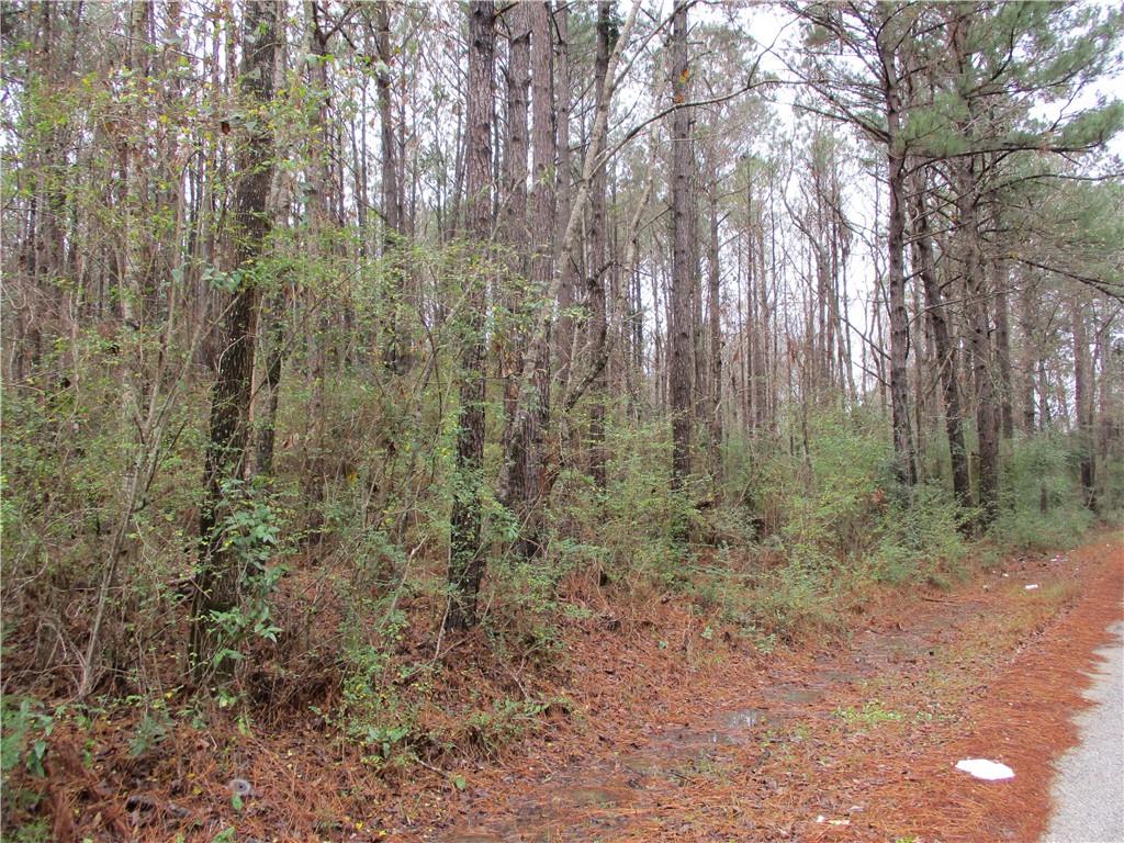 0 Robertson Loop Pollock, LA 71467 - Photo 7 of 7 Gallery Image 7