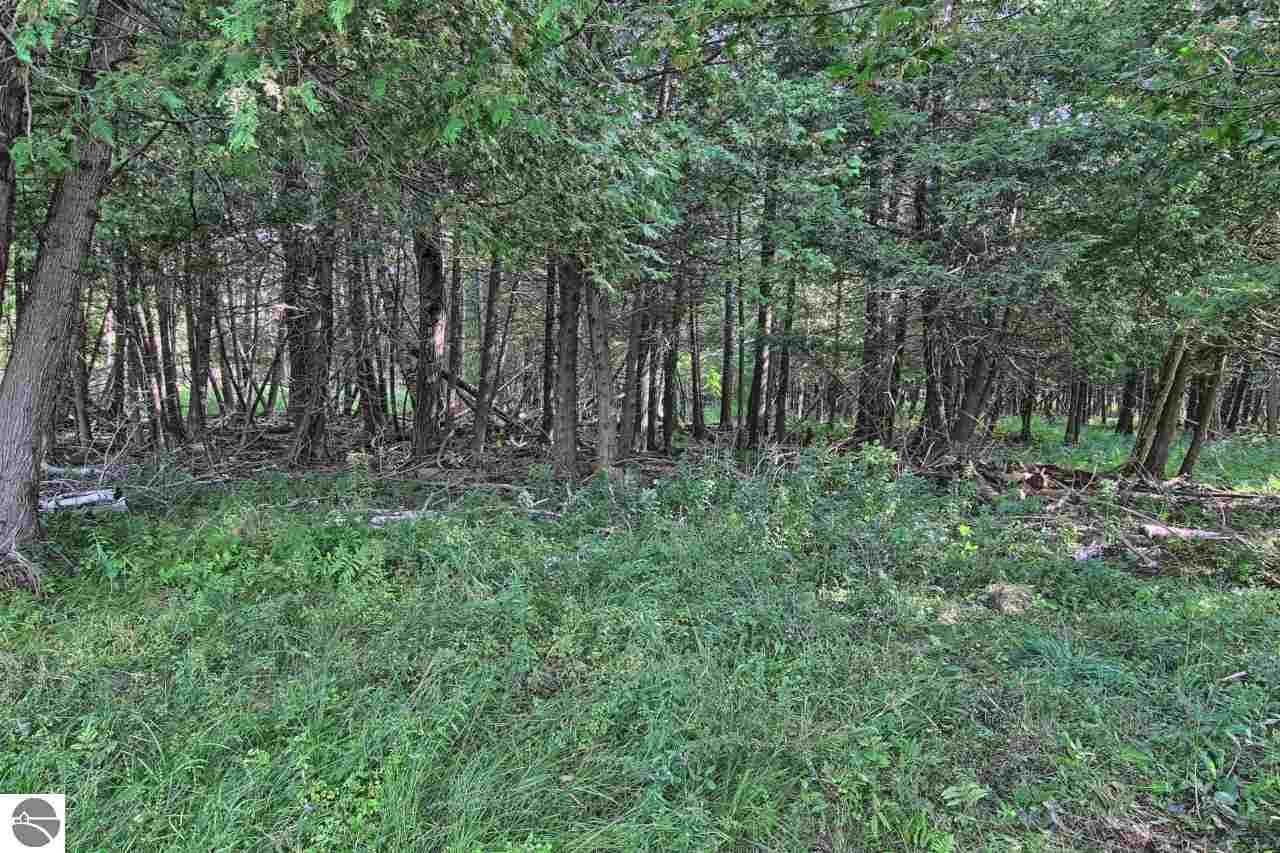 11829 East 14 Road Manton, MI 49663 - Photo 27 of 49 1807921-26.JPG