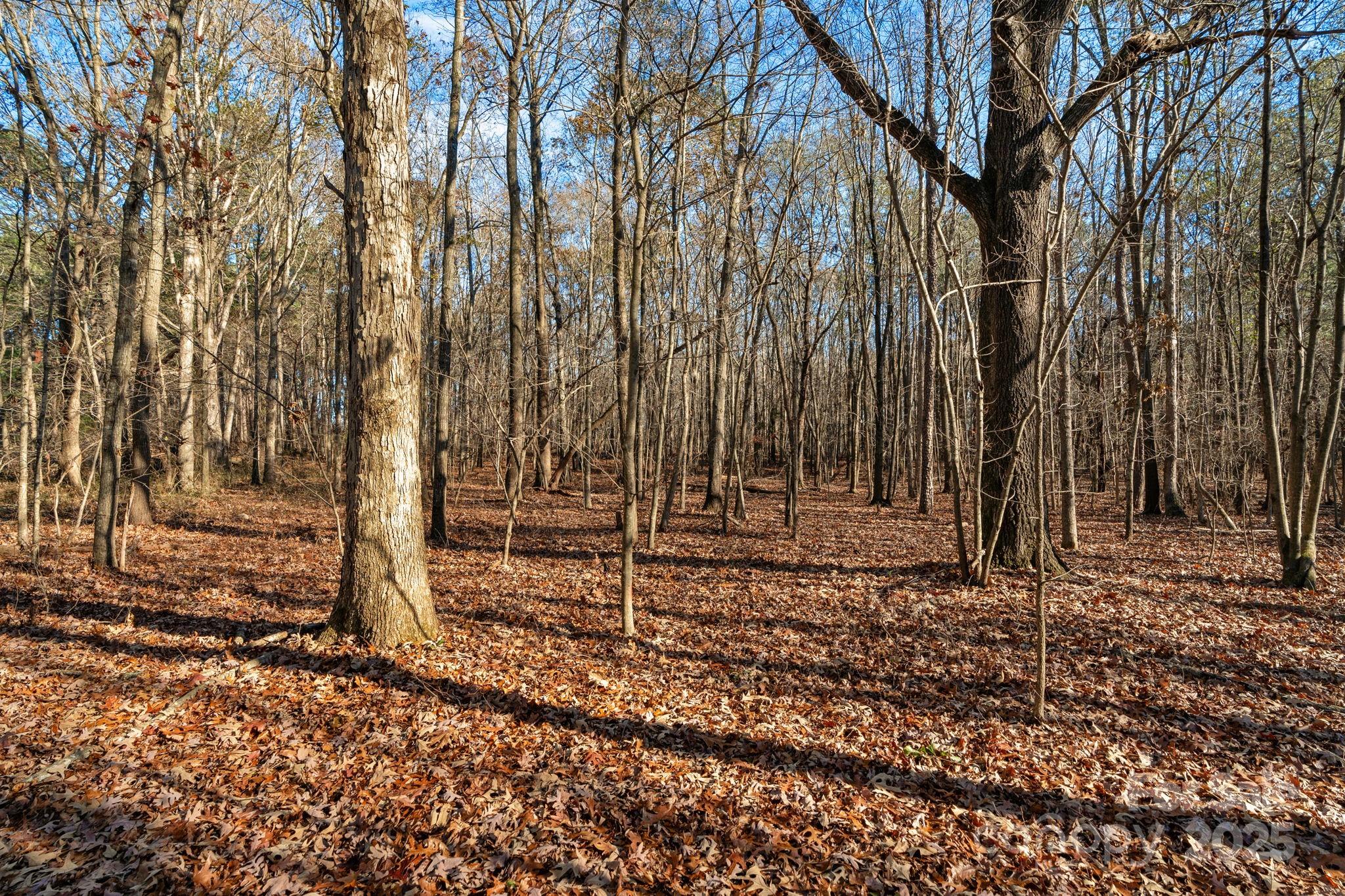 5620 Stack Road Monroe, NC 28112 - Photo 28 of 39