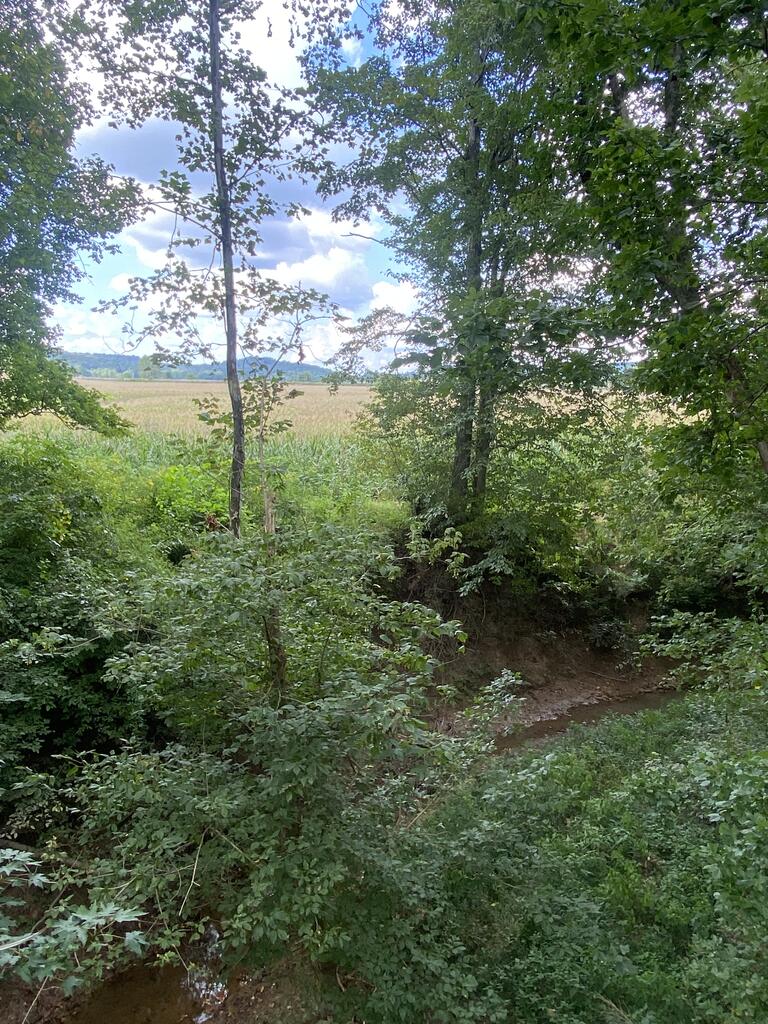 0 Olaton Road Olaton, KY 42361 - Photo 5 of 20 Gallery Image 5