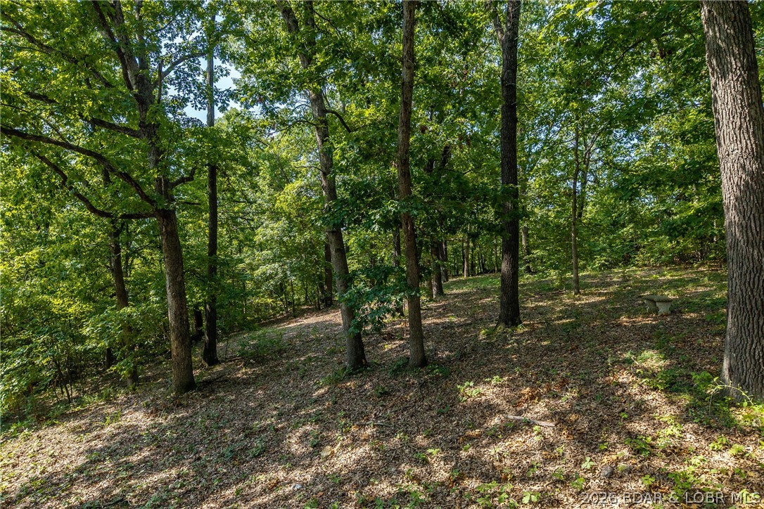 14560 Anchorage Road Versailles, MO 65084 - Photo 24 of 34 Gallery Image 24