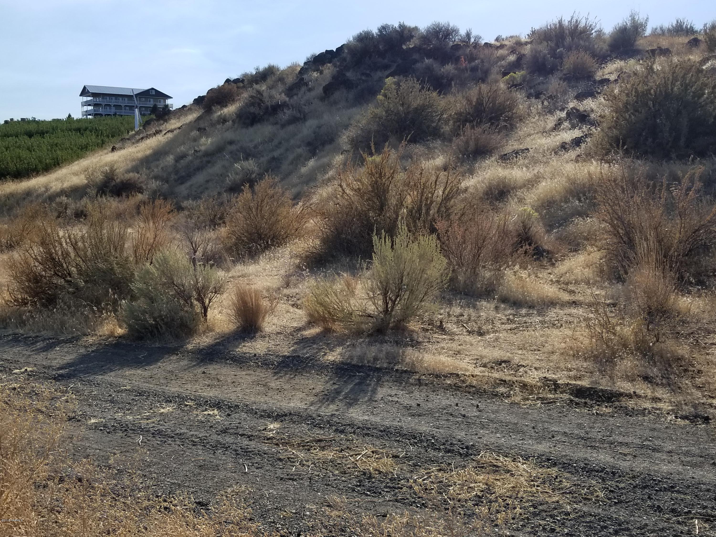 0 Rudd Road, Unit LOT 2 Tieton, WA 98947 - Photo 7 of 10 a view of a dry yard