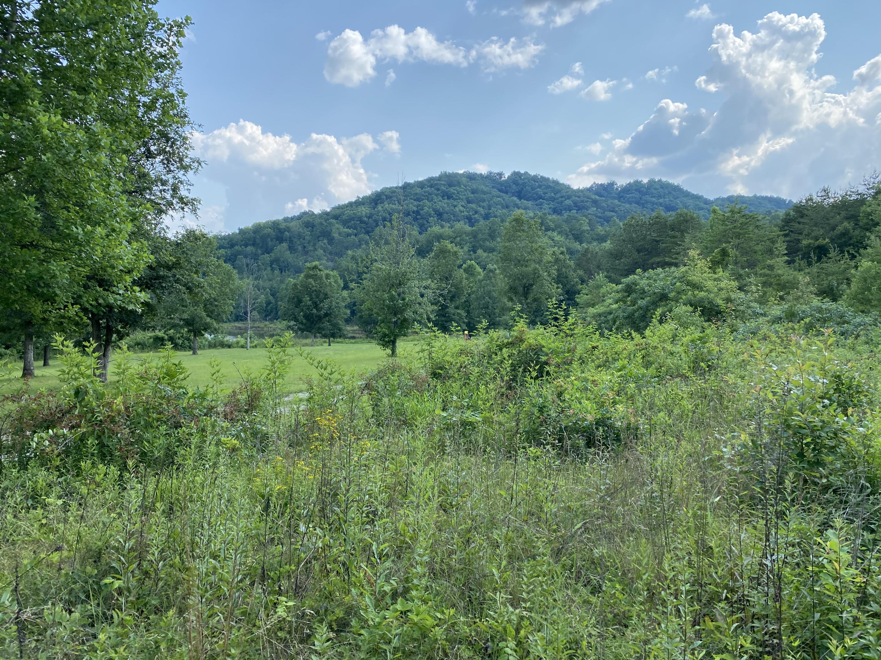 Tbd Steve Brown Road Bean Station, TN 37708 - Photo 5 of 14 9CD69C48-21C1-4D0C-BCBD-0455C7EF23BE