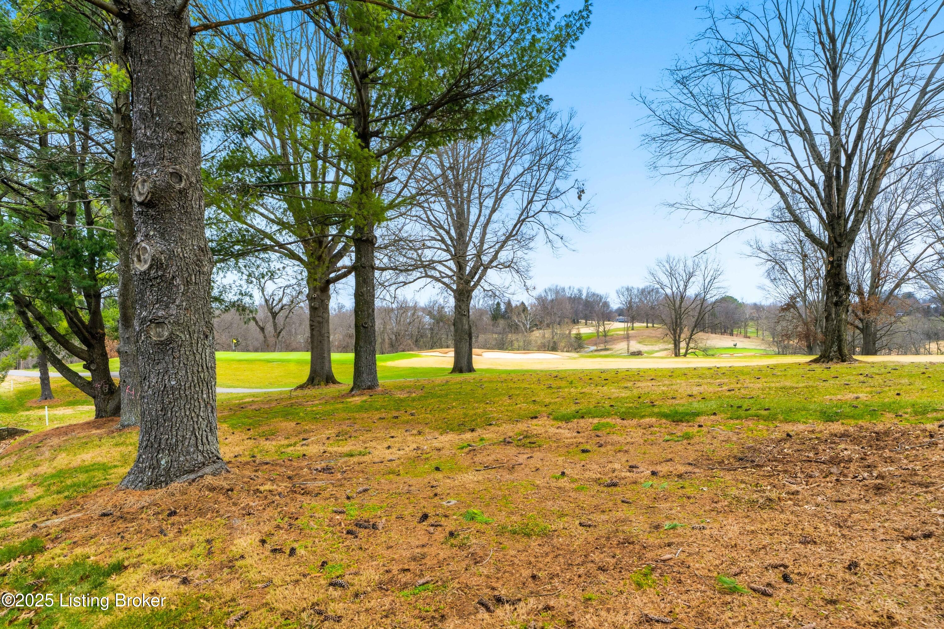 7 Riding Ridge Road Prospect, KY 40059 - Photo 37 of 41 View