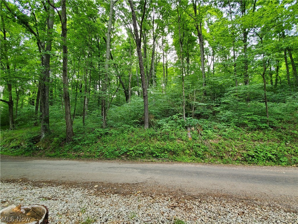2576 East Branch Road Malta, OH 43758 - Photo 27 of 34 Gallery Image 27