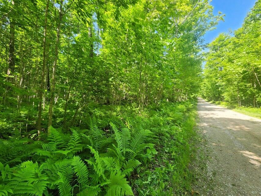 23 Camp 23 Road Germfask, MI 49836 - Photo 3 of 11 20250625202524961999000000-o