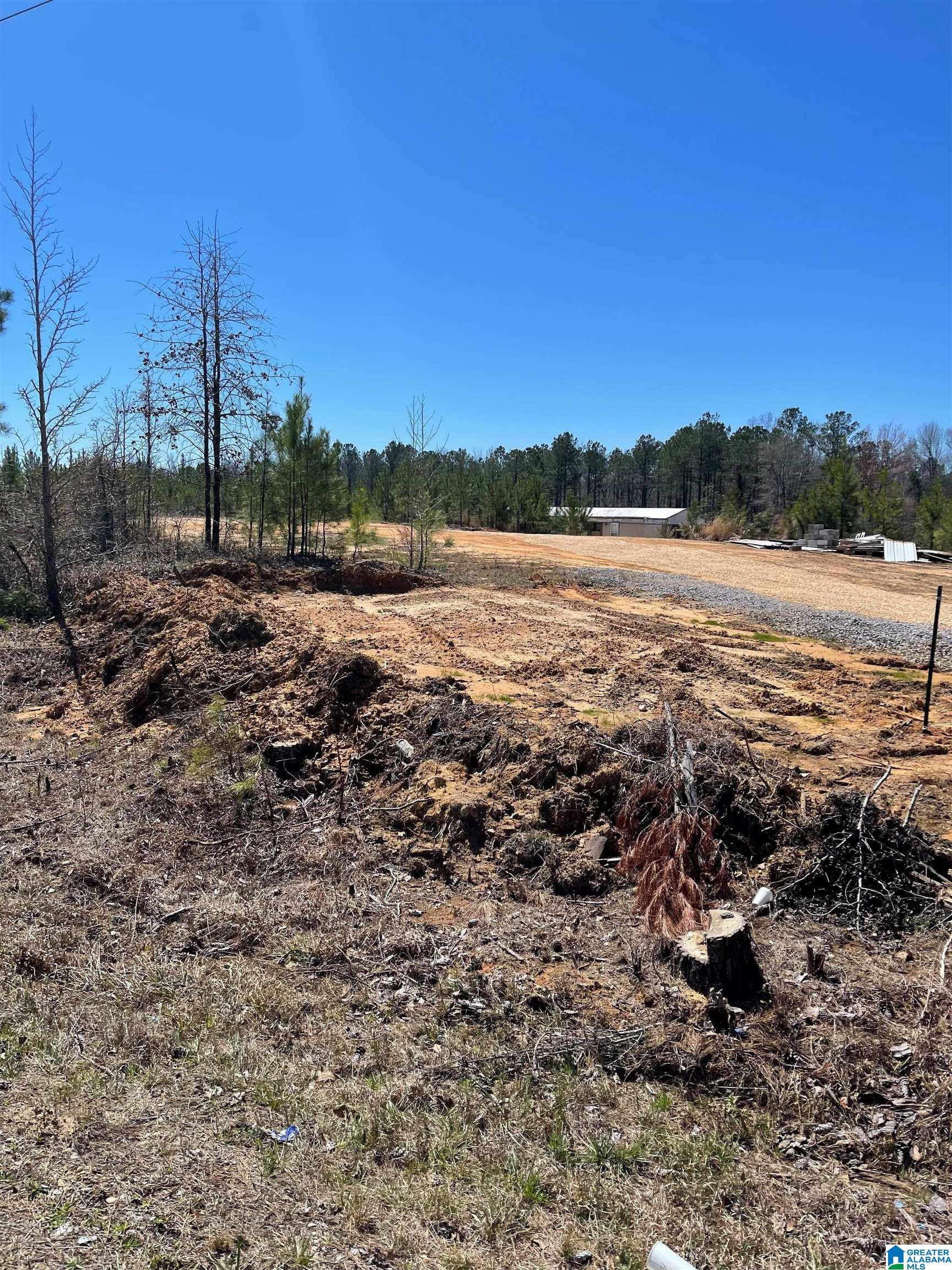 3757 County Road 107 Randolph, AL 36792 - Photo 3 of 8