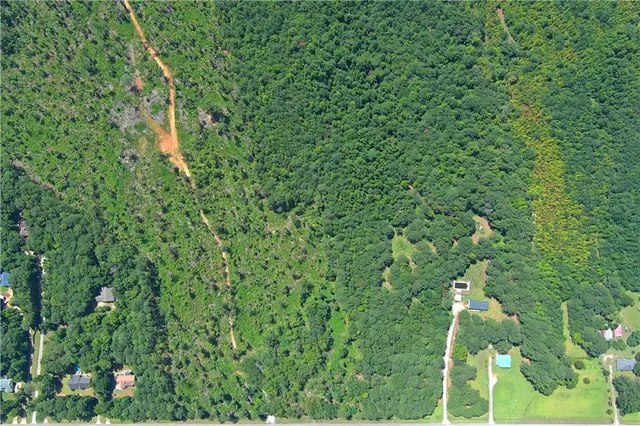 a map view of a forest