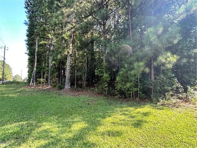 a backyard of a house with lots of green space