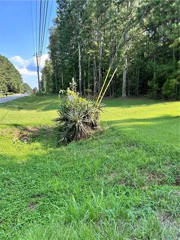 a view of a garden with a slide