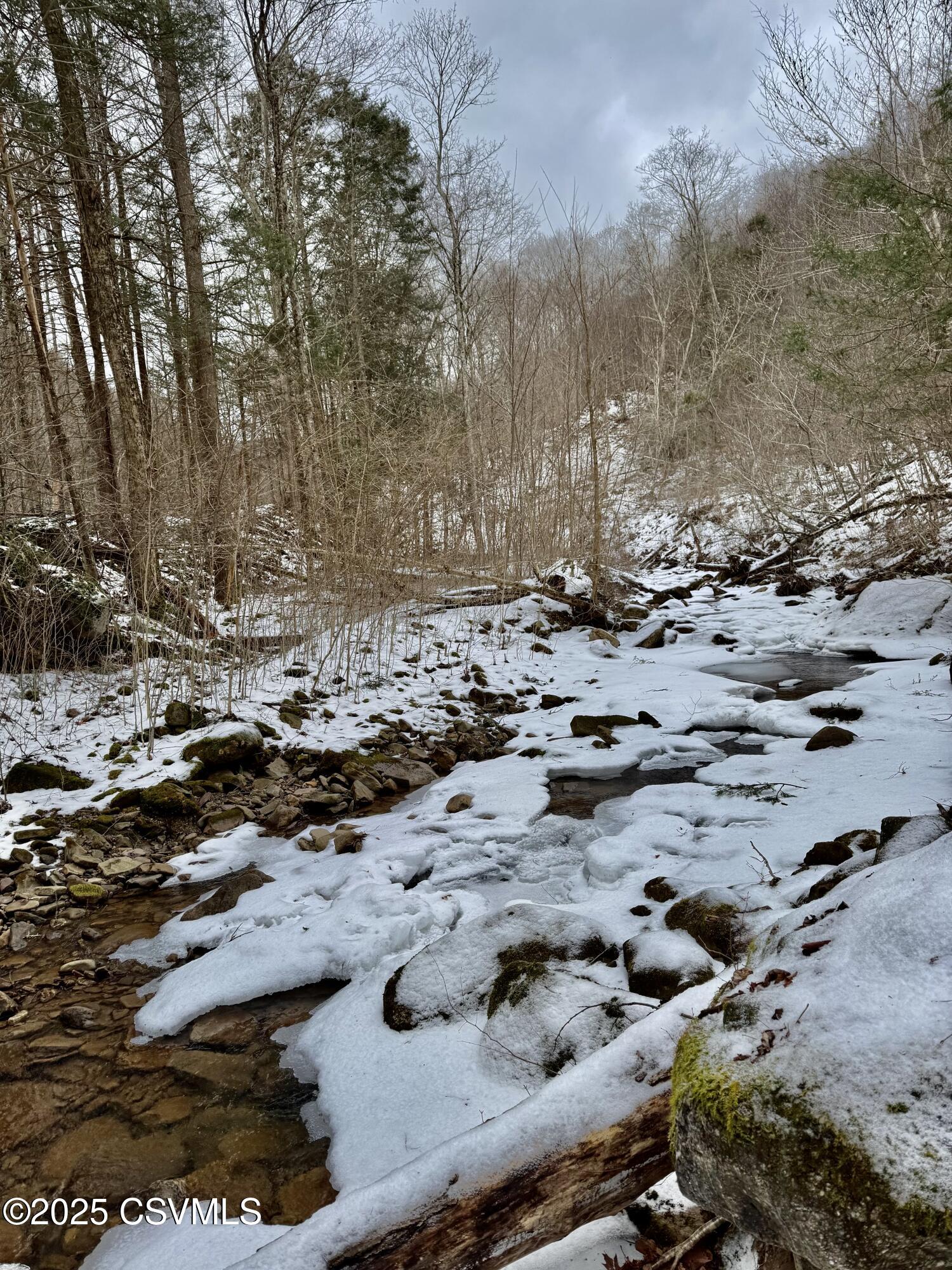 Root Hollow Road Mehoopany, PA 18629 - Photo 19 of 24 Gallery Image 19