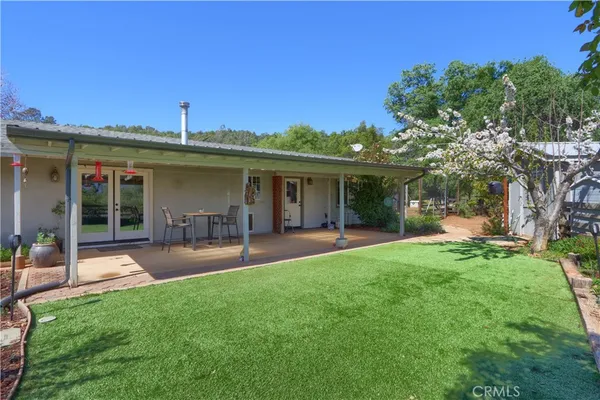 a view of a trees with a yard