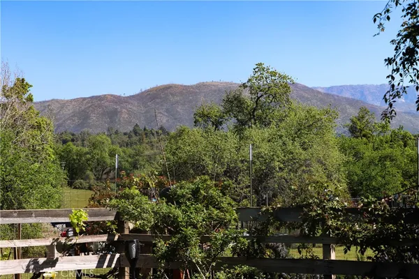 a view of a grassy field with trees in the background