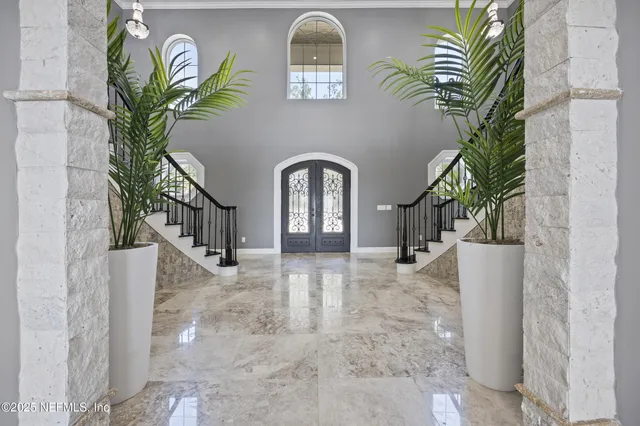 a close up of a plant in a rack