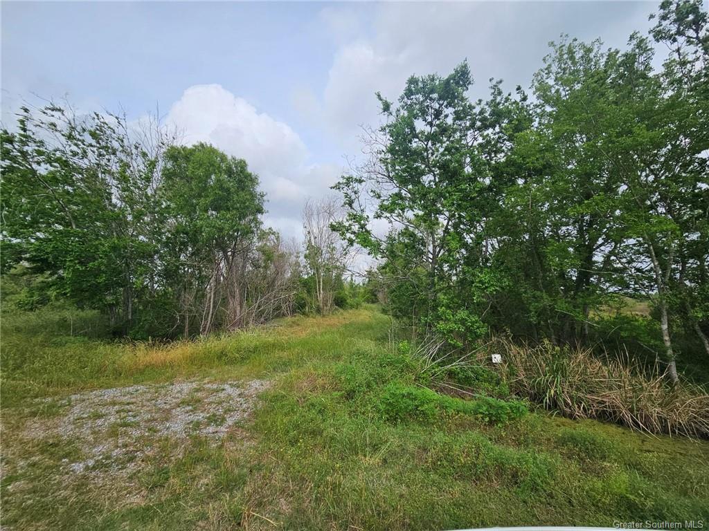 0 Zwan Road Gueydan, LA 70542 - Photo 3 of 5 Gallery Image 3