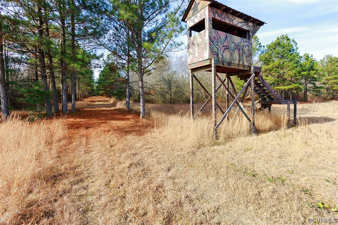 619 Spring Grove Road Spring Grove, VA 23881 - Photo 44 of 45 a view of outdoor space yard and patio