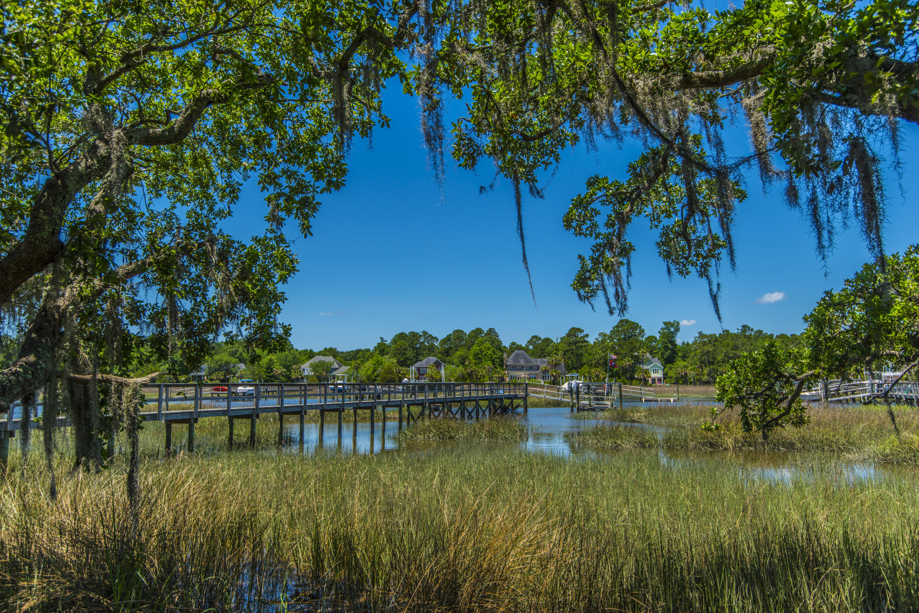 1782 Bergenfield Road Mount Pleasant, SC 29466 - Photo 60 of 63 _DSC2305
