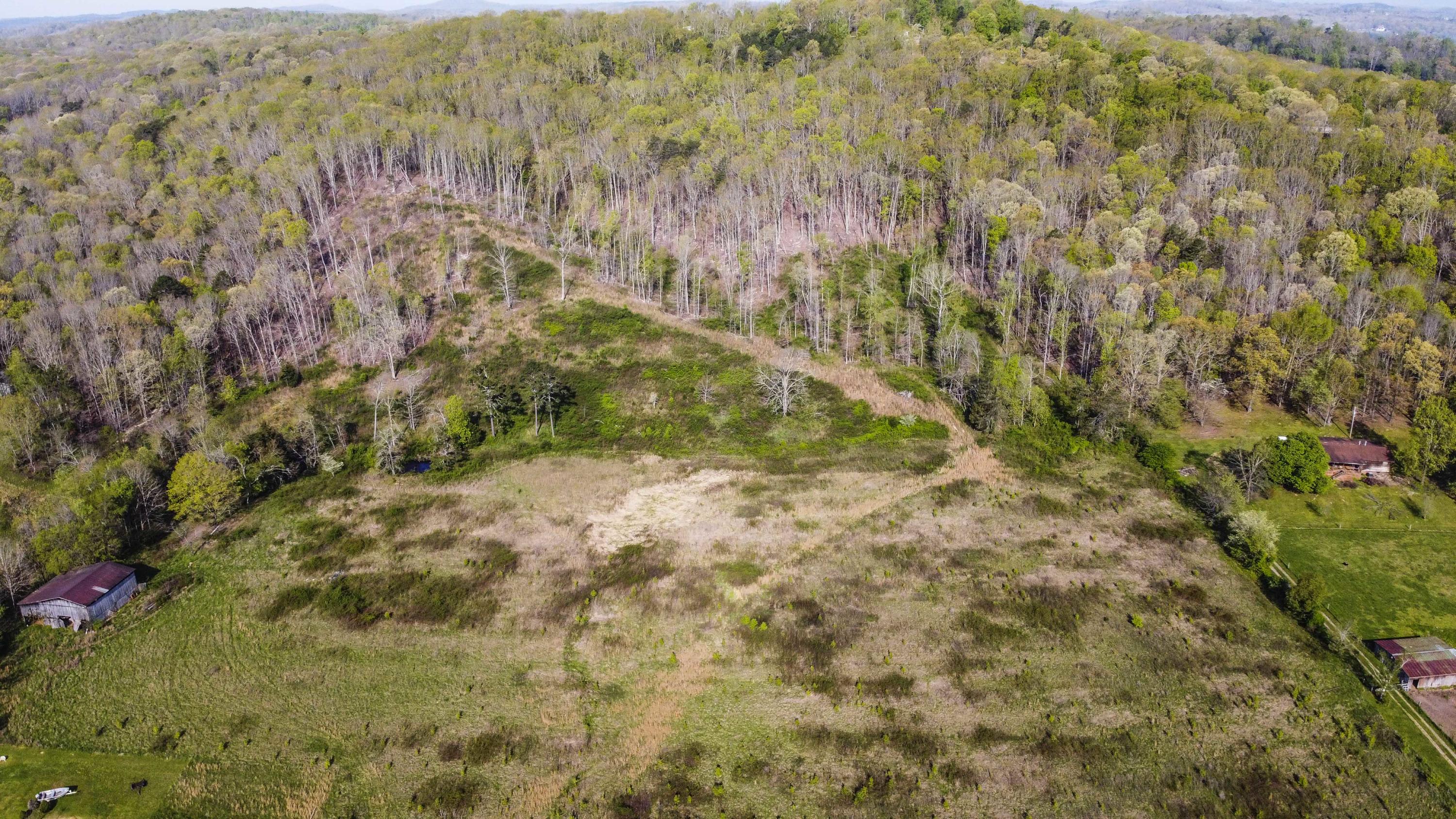 911 A Cedar Grove Road Loudon, TN 37774 - Photo 7 of 11 DJI_0019_1