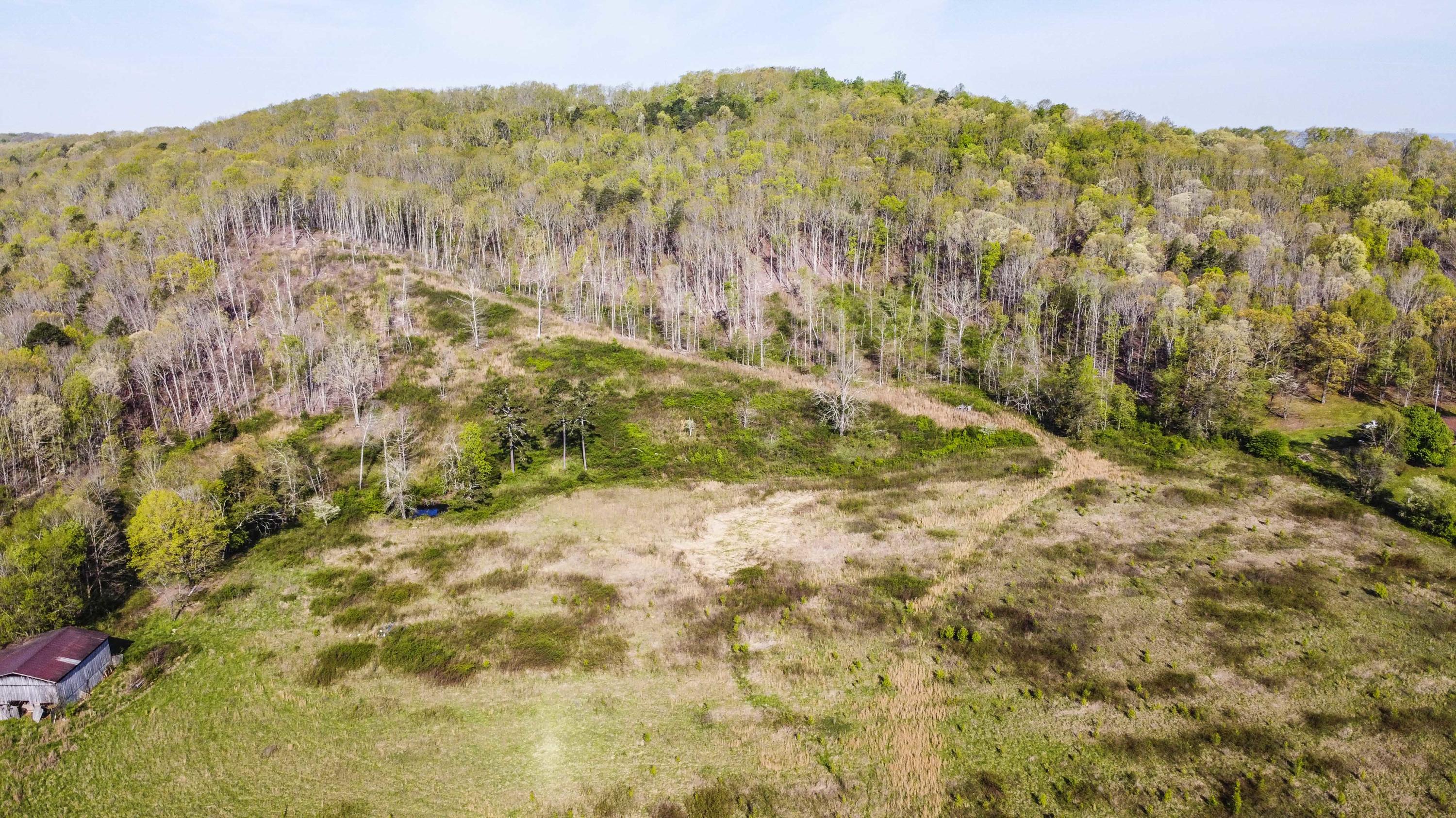 911 A Cedar Grove Road Loudon, TN 37774 - Photo 10 of 11 DJI_0022_1