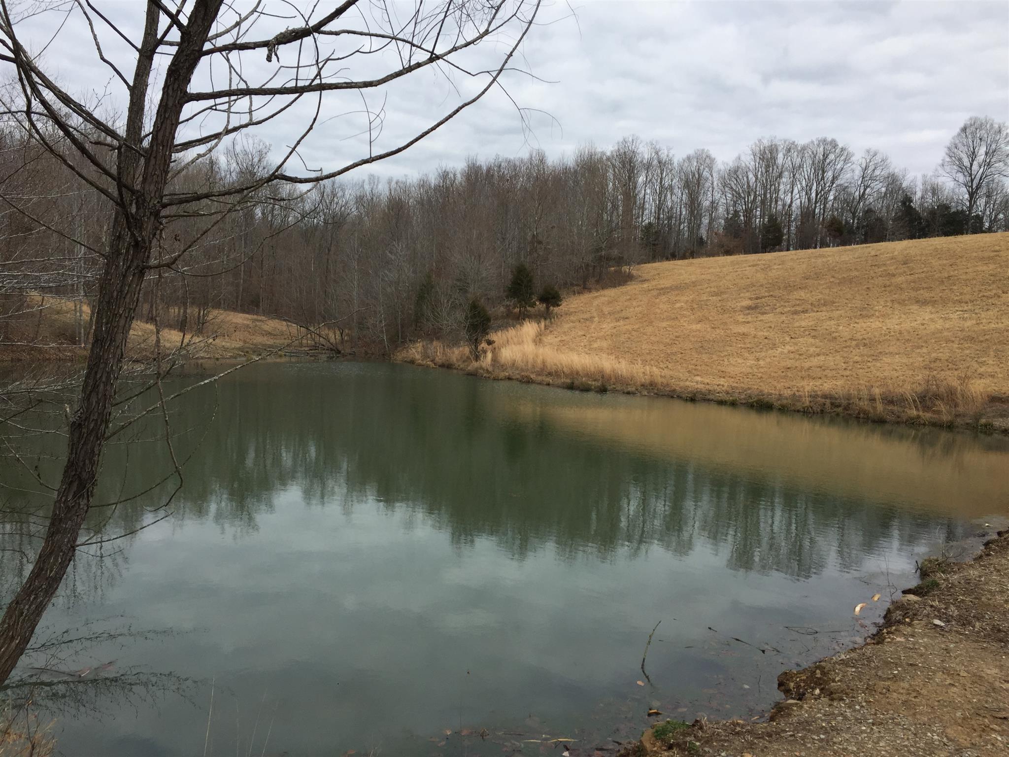 103 Wiggs Branch Road Erin, TN 37061 - Photo 1 of 6 Gallery Image 1