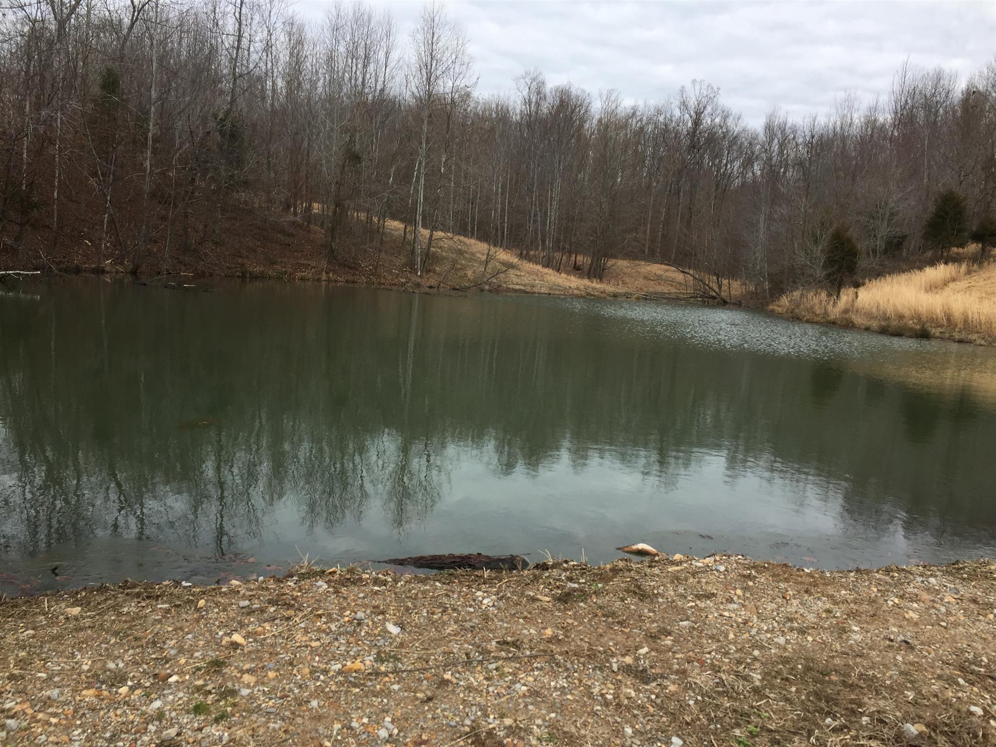 103 Wiggs Branch Road Erin, TN 37061 - Photo 2 of 6 Gallery Image 2
