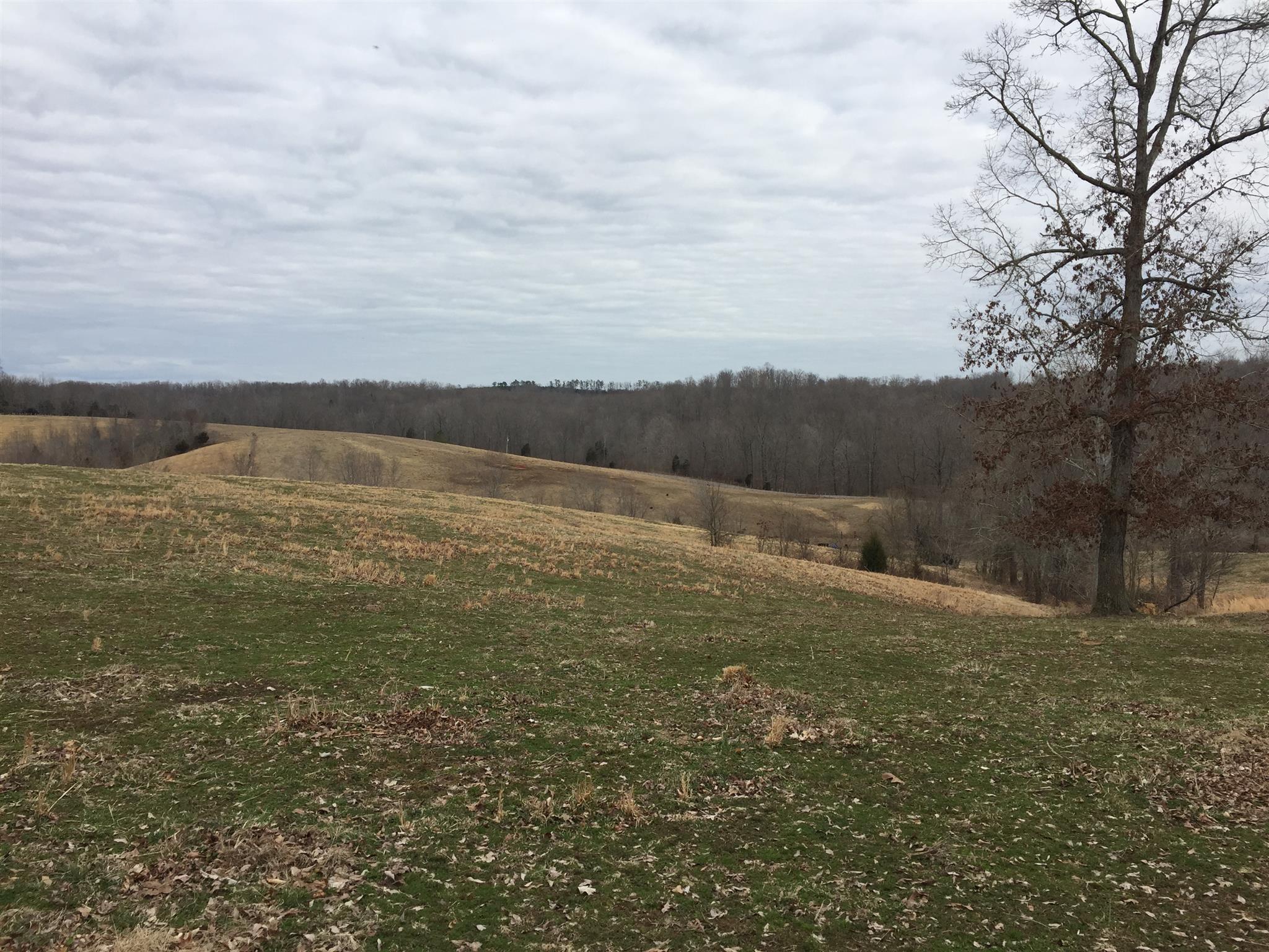103 Wiggs Branch Road Erin, TN 37061 - Photo 3 of 6 Gallery Image 3