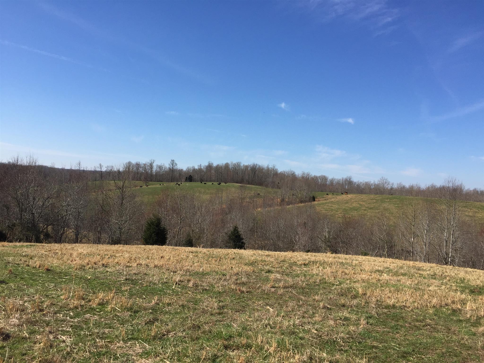 103 Wiggs Branch Road Erin, TN 37061 - Photo 4 of 6 Gallery Image 4