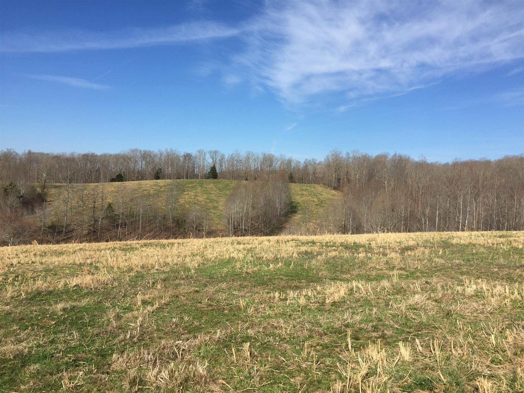 103 Wiggs Branch Road Erin, TN 37061 - Photo 5 of 6 Gallery Image 5