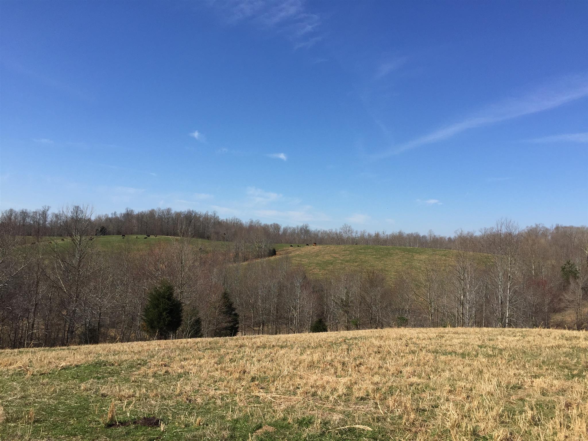 103 Wiggs Branch Road Erin, TN 37061 - Photo 6 of 6 Gallery Image 6