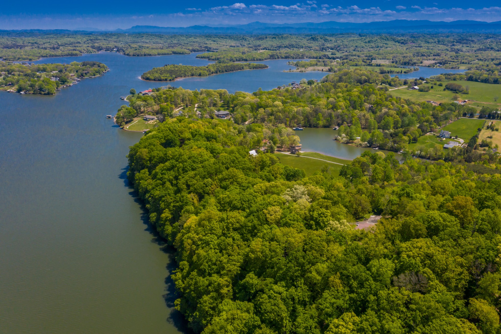 710 Disco Loop Road Friendsville, TN 37737 - Photo 8 of 40 Gallery Image 8