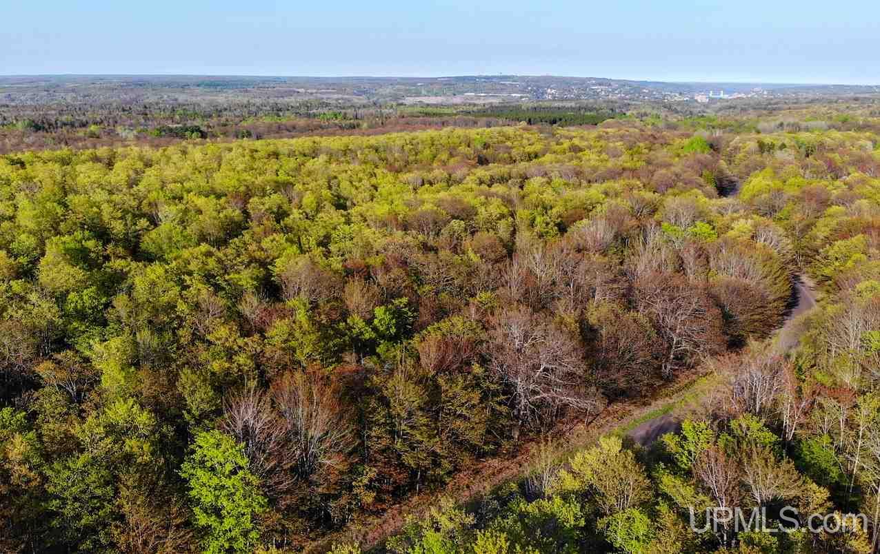 Tbd Coles Creek Road, Unit PARCEL 9 Hancock, MI 49931 - Photo 4 of 12