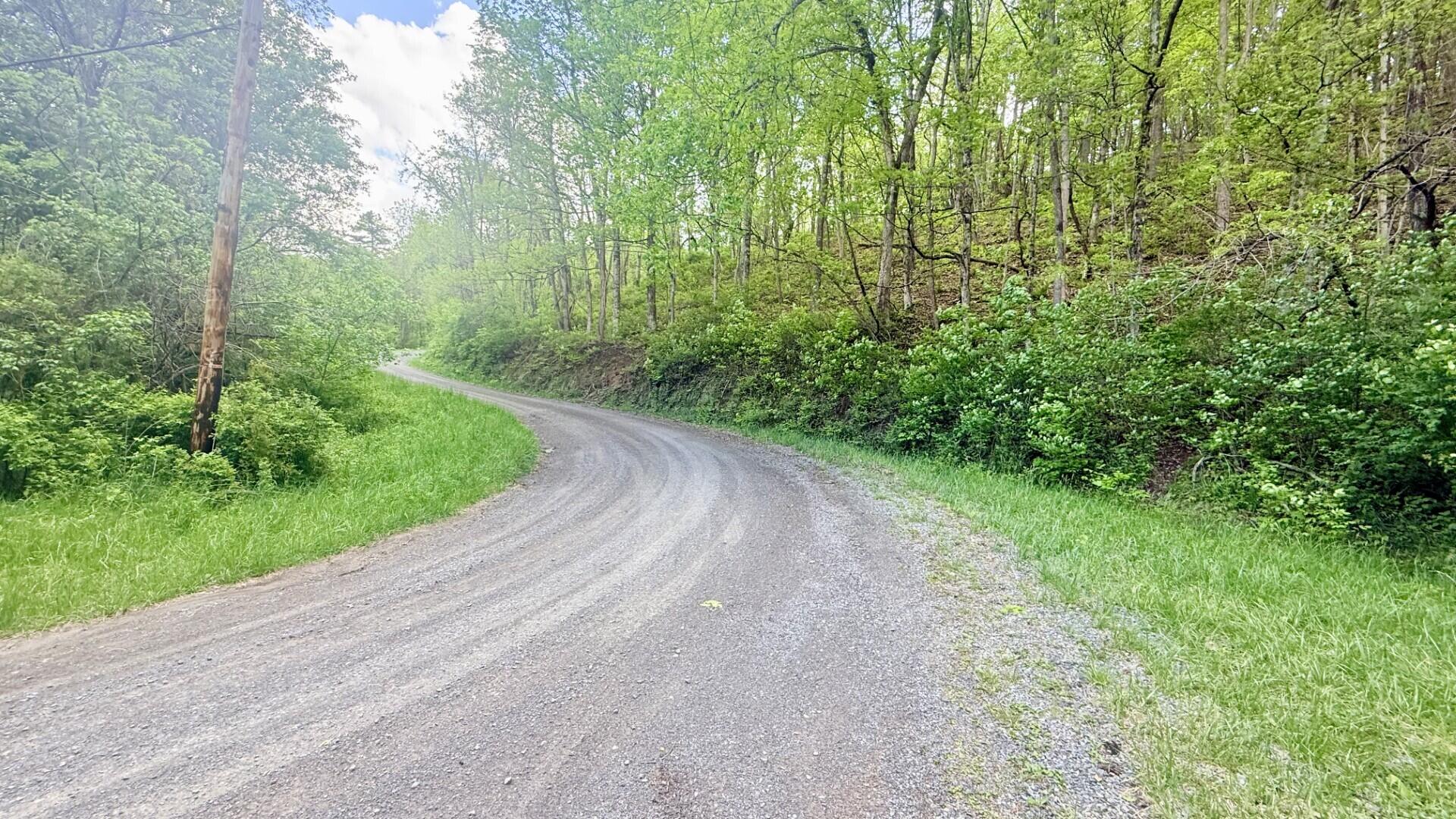 Mountain Road Peterstown, WV 24963 - Photo 7 of 11 Gallery Image 7