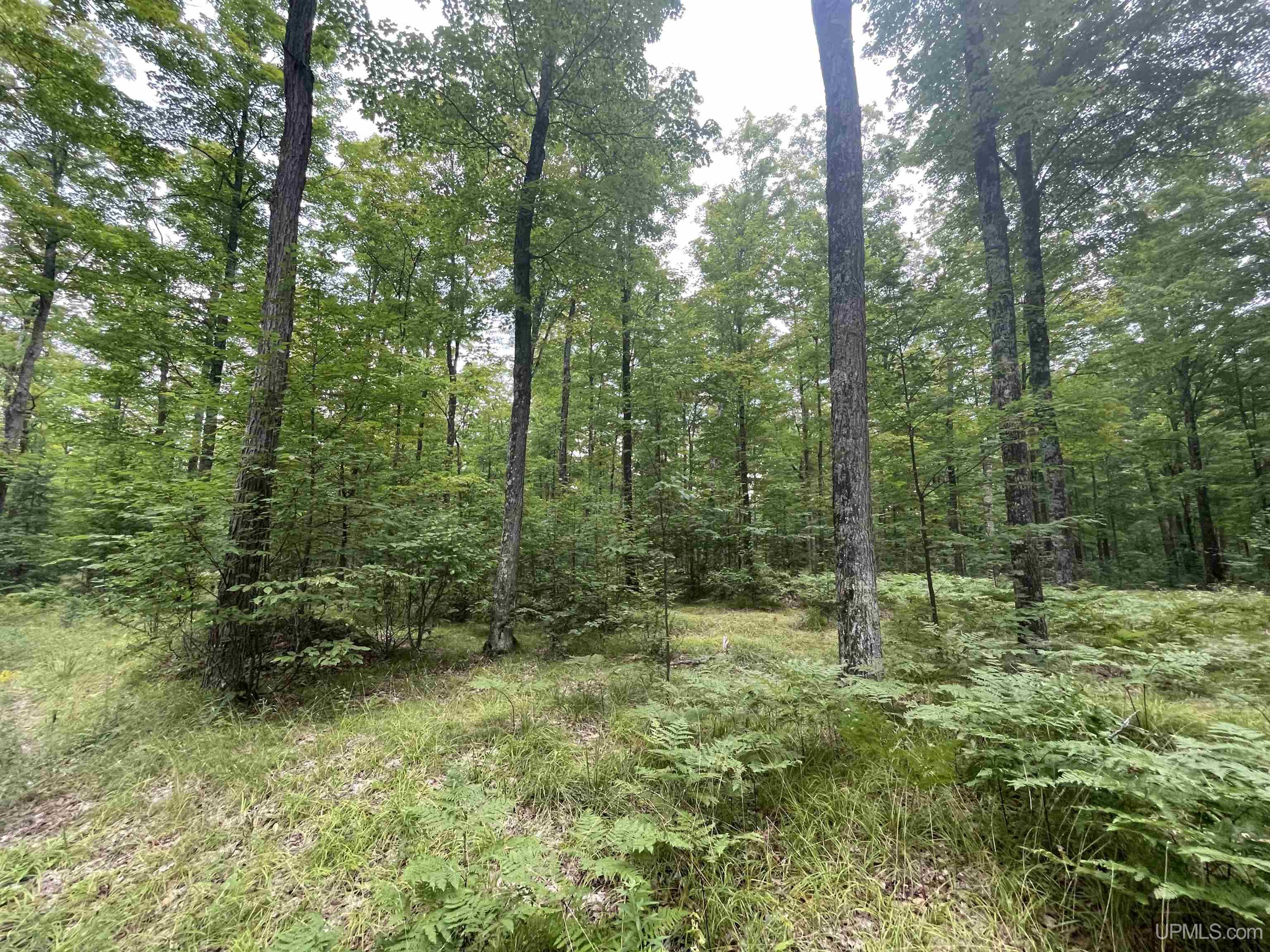 Tbd Tbd County Road, Unit 1 Cornell, MI 49818 - Photo 23 of 41
