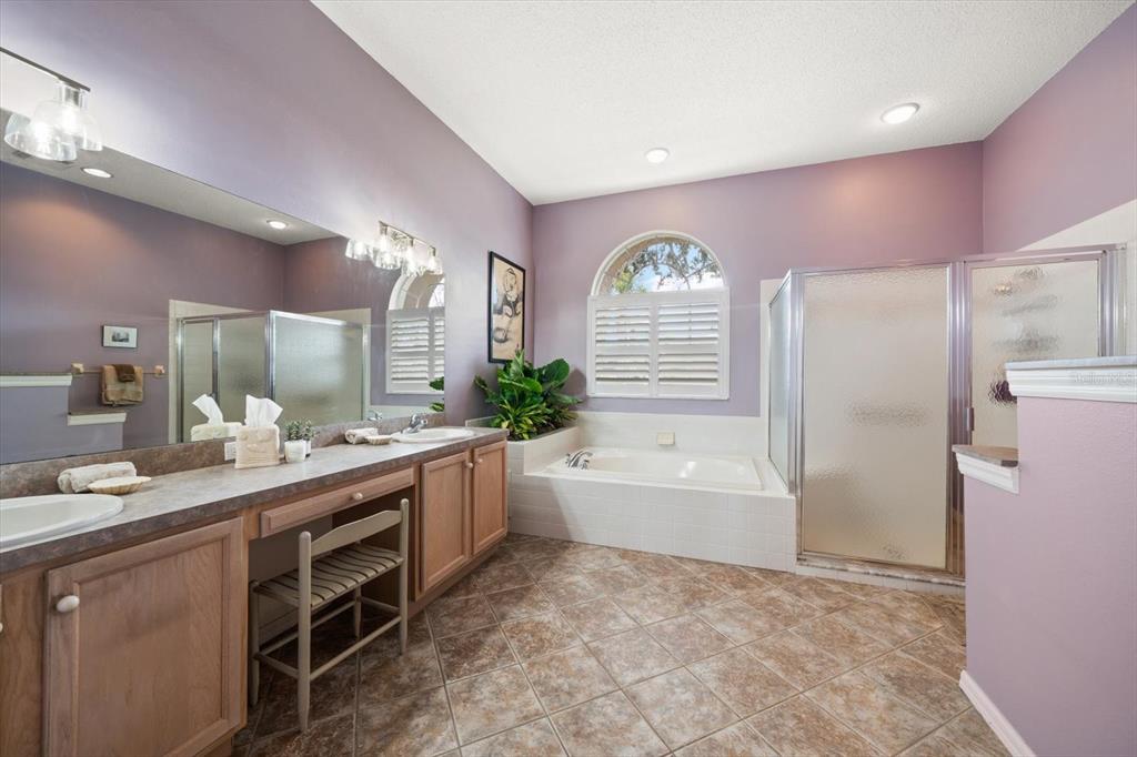 1237 Rambling Vine Court Trinity, FL 34655 - Photo 12 of 76