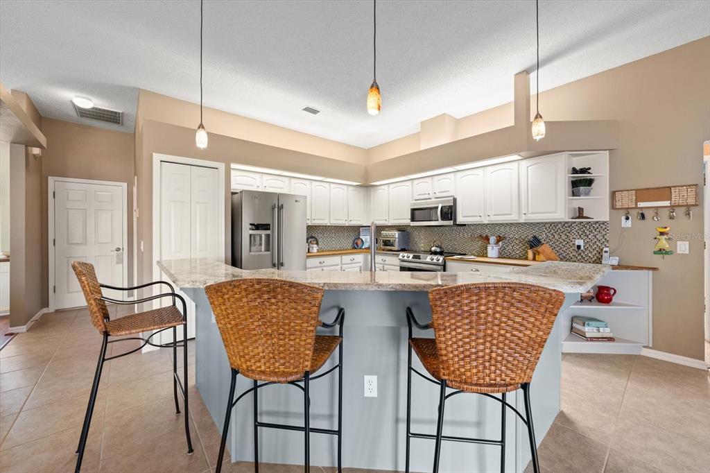 1237 Rambling Vine Court Trinity, FL 34655 - Photo 16 of 76