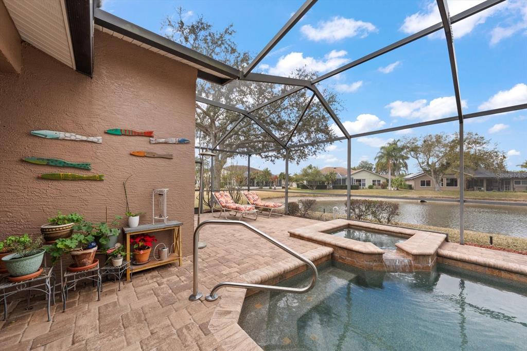 1237 Rambling Vine Court Trinity, FL 34655 - Photo 25 of 76