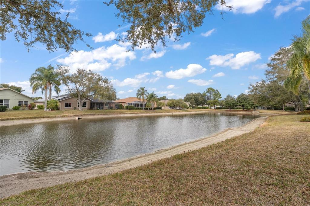 1237 Rambling Vine Court Trinity, FL 34655 - Photo 38 of 76