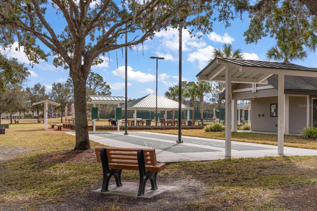 1237 Rambling Vine Court Trinity, FL 34655 - Photo 46 of 76