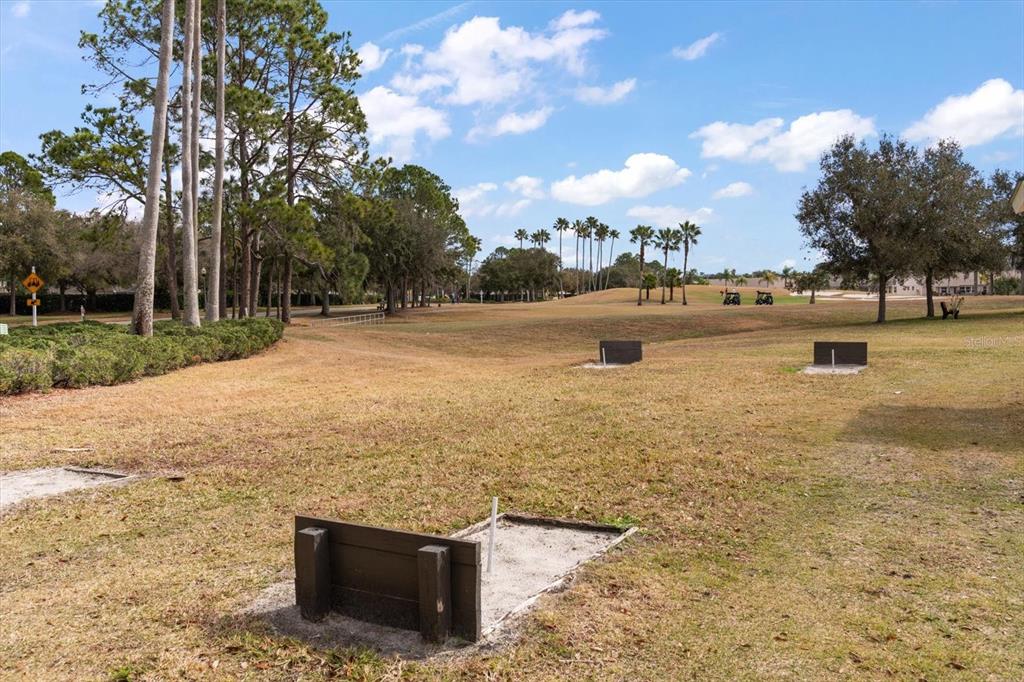 1237 Rambling Vine Court Trinity, FL 34655 - Photo 47 of 76