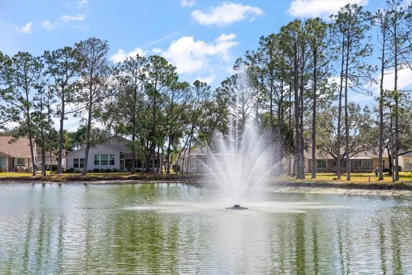 $585,000 | 1237 Rambling Vine Court, Trinity, FL 34655