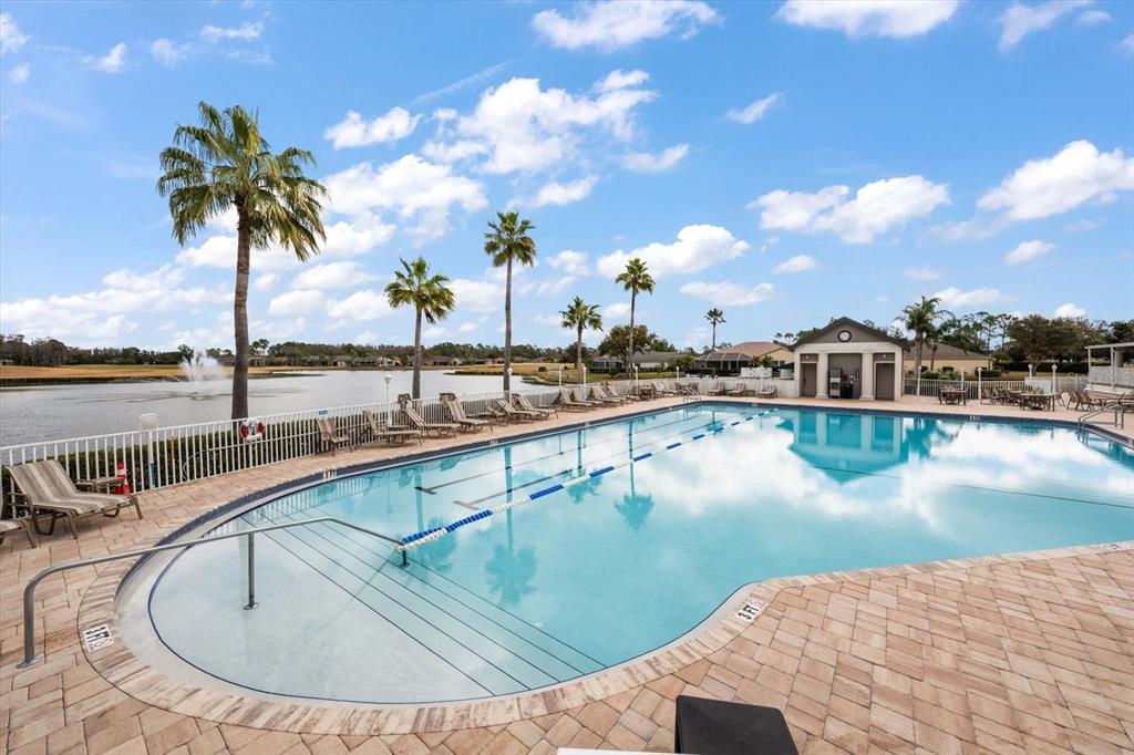 1237 Rambling Vine Court Trinity, FL 34655 - Photo 56 of 76