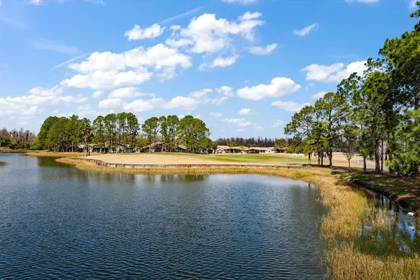 $585,000 | 1237 Rambling Vine Court, Trinity, FL 34655