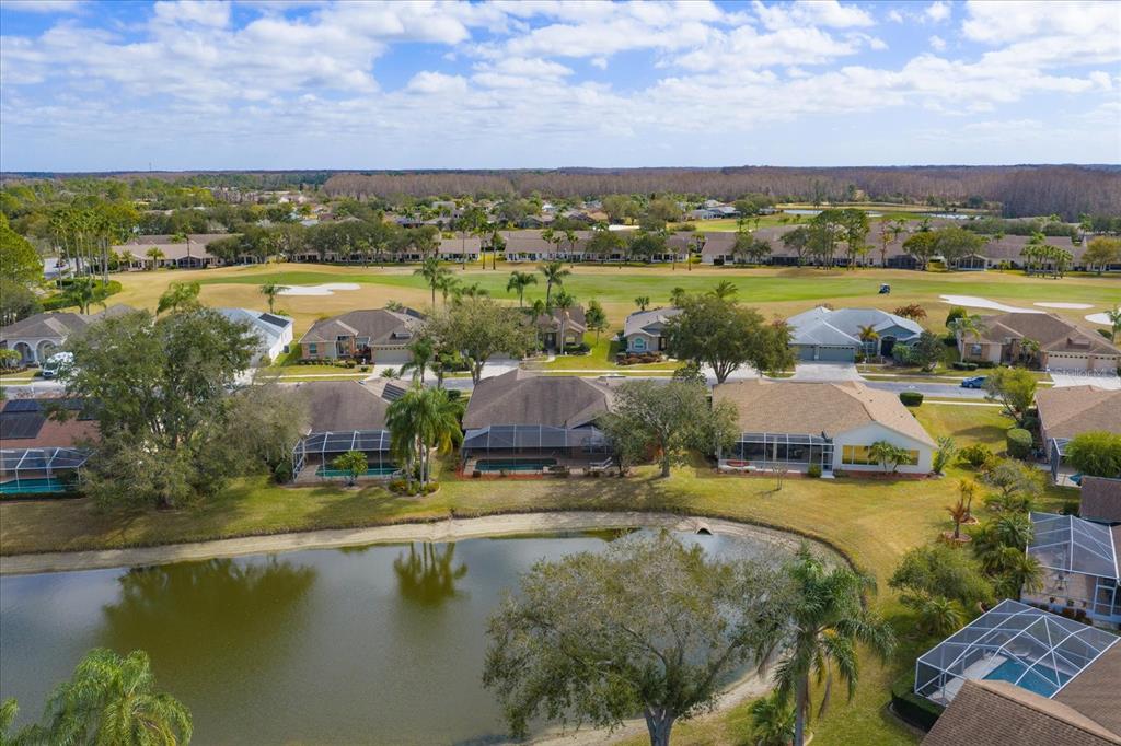 1237 Rambling Vine Court Trinity, FL 34655 - Photo 71 of 76